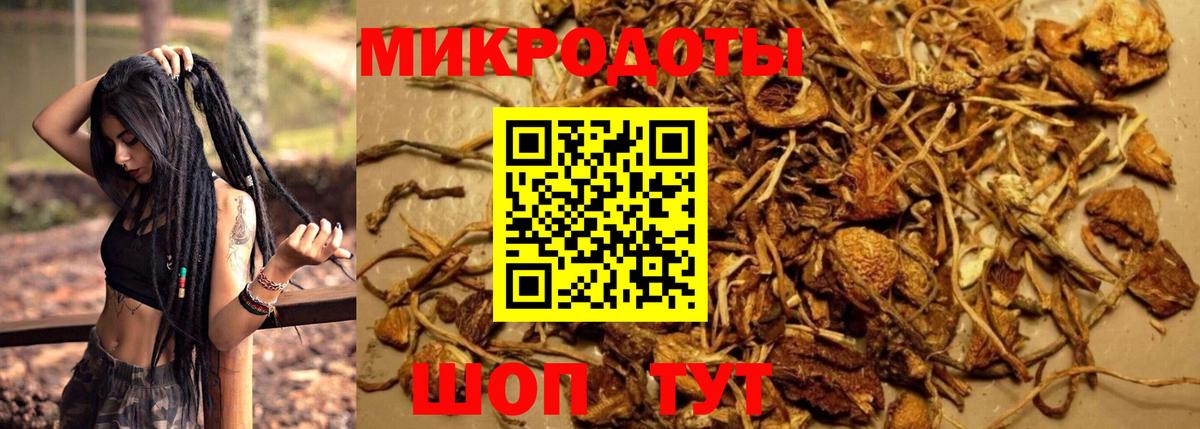 Моздок  Псилоцибиновые грибы MAGIC MUSHROOMS  Вход с VPN 