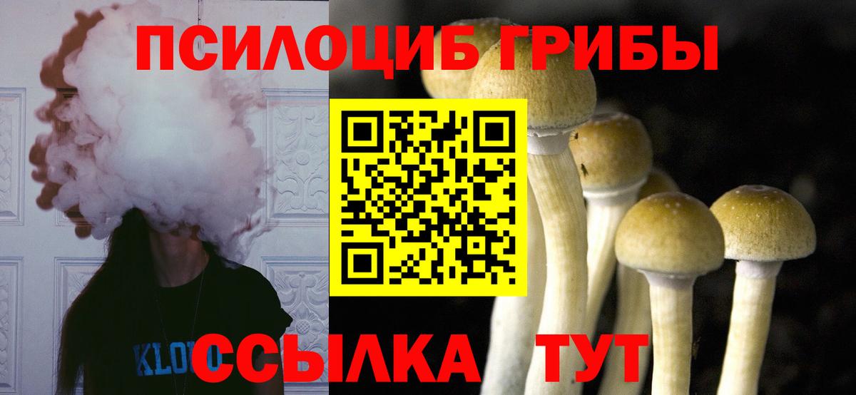 Галлюциногенные грибы Psilocybine cubensis Моздок