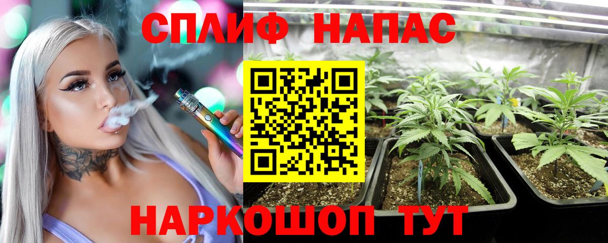 Моздок  МАРИХУАНА гибрид  Каннабис AK-47  Каннабис ГИДРОПОН  Бошки марихуана сатива  Вход с VPN 